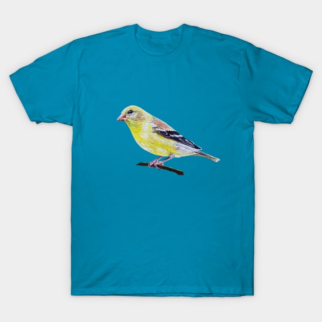 American Goldfinch painting (no background) T-Shirt by EmilyBickell